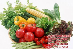 宏鴻農產品 蘇州專業蔬菜配送服務