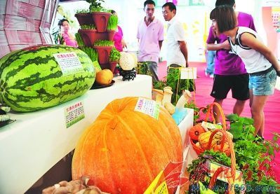 新奇農(nóng)產(chǎn)品提前露芳顏 農(nóng)業(yè)創(chuàng)新引領(lǐng)餐桌新風尚