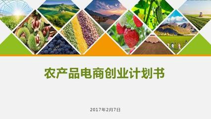 農(nóng)產(chǎn)品電商創(chuàng)業(yè)計劃書 構(gòu)建數(shù)字化生態(tài)，賦能現(xiàn)代農(nóng)業(yè)新未來