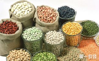 山西聚焦特色資源，擬10月確定20個獨有功能農(nóng)產(chǎn)品品牌